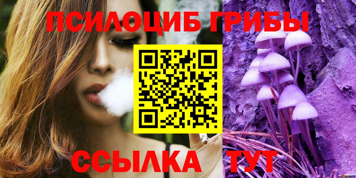 Галлюциногенные грибы Psilocybe Гусиноозёрск