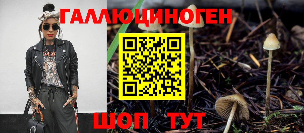 Псилоцибиновые грибы прущие грибы  Вход с VPN  Гусиноозёрск 